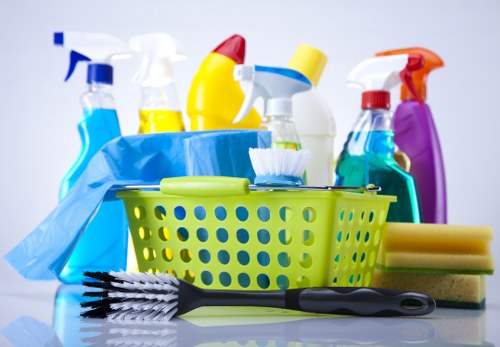 Stain treatment and extraction carpet cleaning service