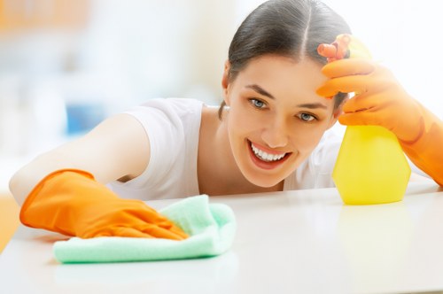 Professional oven cleaner serving Battersea homes and flats