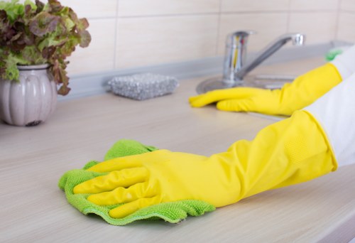 Domestic cleaning service covering Battersea and nearby neighbourhoods