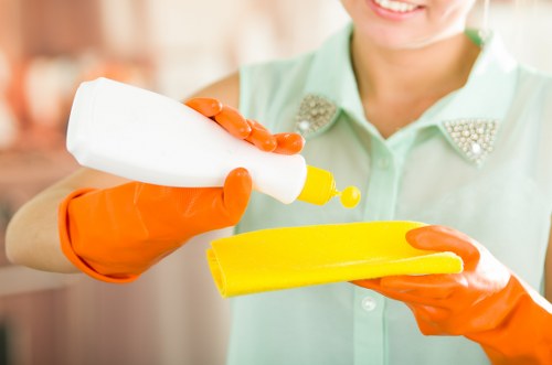 Cleaning support for Battersea flats and family houses
