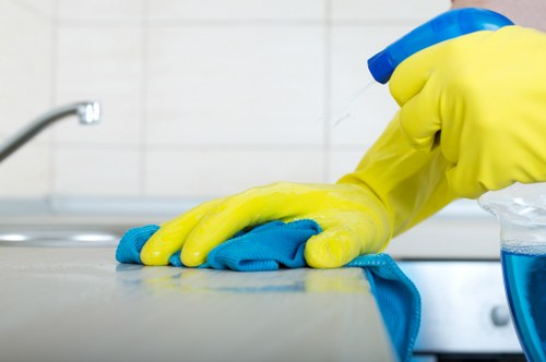 Regular home cleaning support for Battersea residents