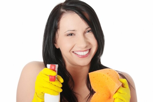 Thorough oven door and rack cleaning service in Battersea